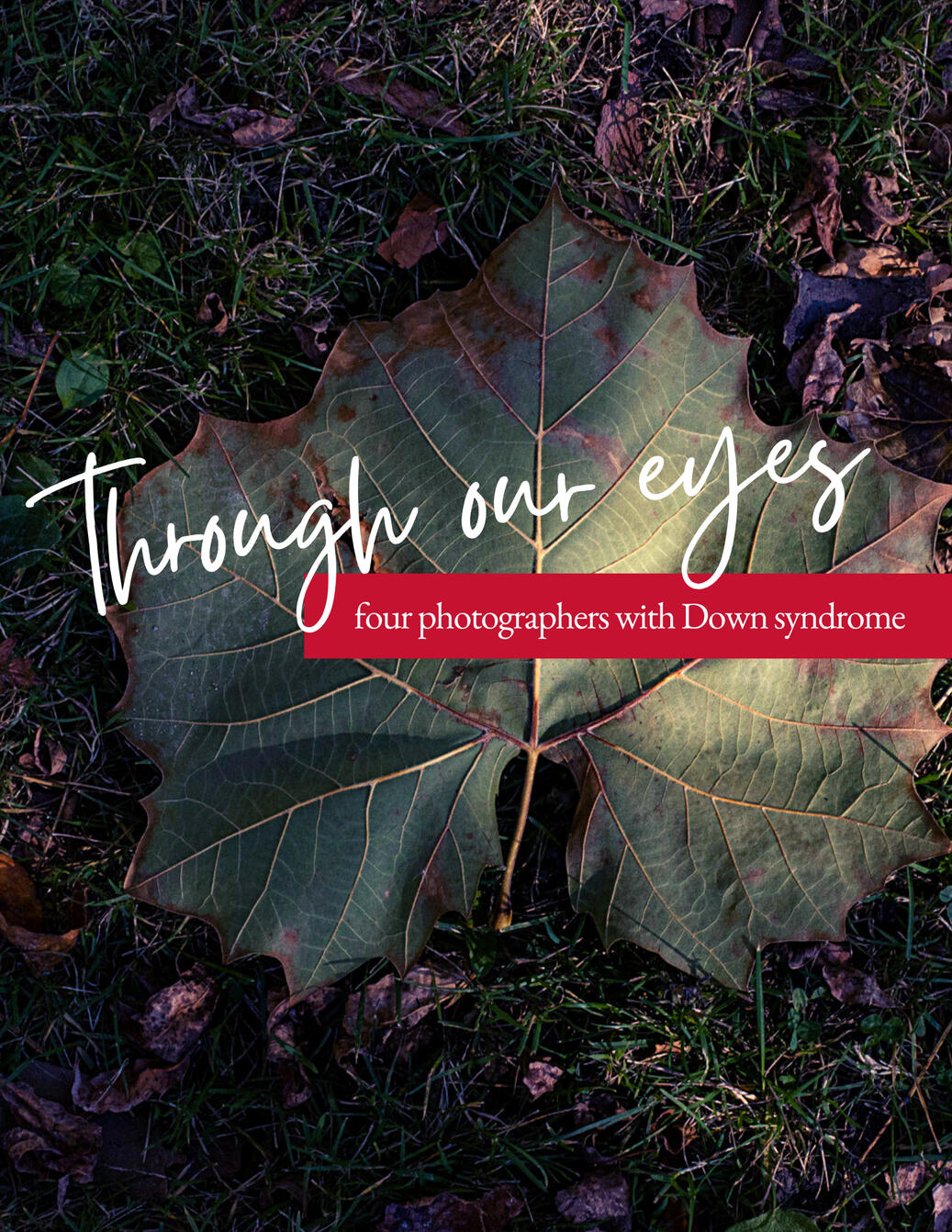 Through Our Eyes Through Our Eyes